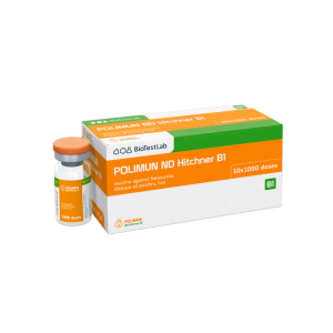 POLIMUN ND HITCHNER B1